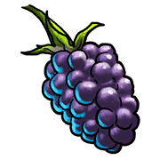 Item #16_1_031 - Brombeere des Schattens, zum Füttern eines Pets aus dem Schatten-Habitat
